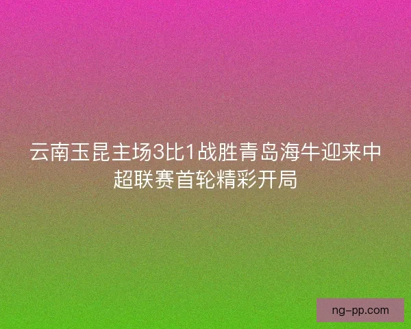 云南玉昆主场3比1战胜青岛海牛迎来中超联赛首轮精彩开局 云南玉昆主场3比1战胜青岛海牛迎来中超联赛首轮精彩开局